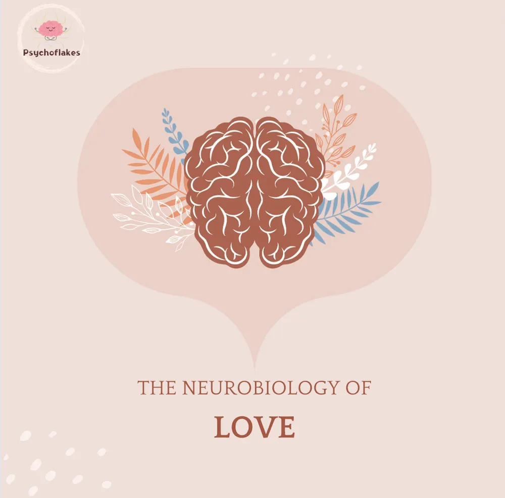 Exploring the Neurobiology of Love: A Journey into the Science of Connection