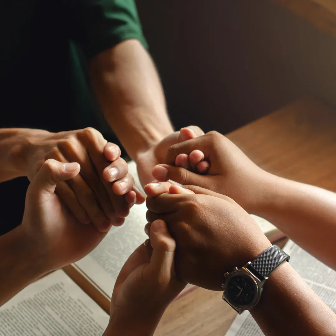 Different fields in counselling